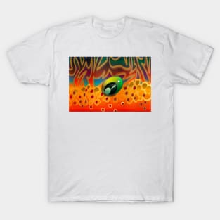 Brook Trout Eye T-Shirt